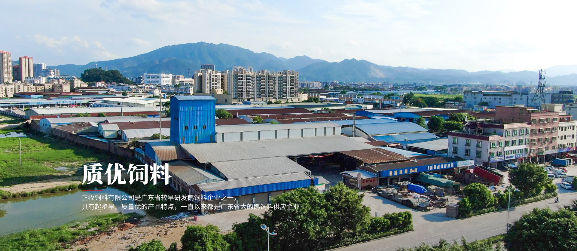 开云体育登录平台